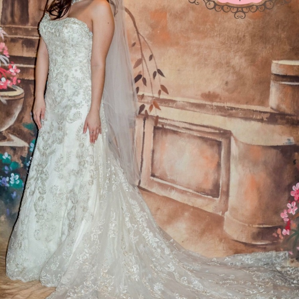 Allure Bridal Wedding Gown
